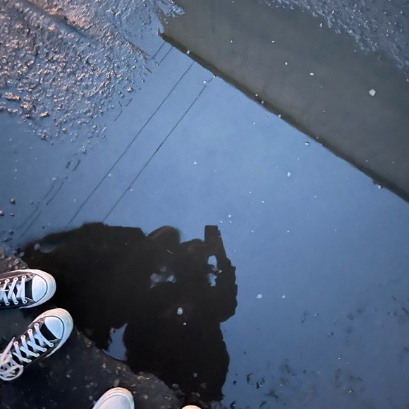 Meet your Posher, Grace - Picture 1 of 1